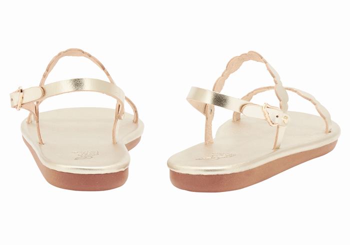 Women Ancient Greek Sandals Orion Back-Strap Sandals Gold White | WSP2133GY