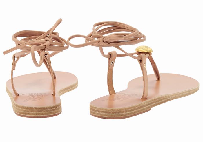 Women Ancient Greek Sandals Persephone Gladiator Sandals Beige | SJE748EJ