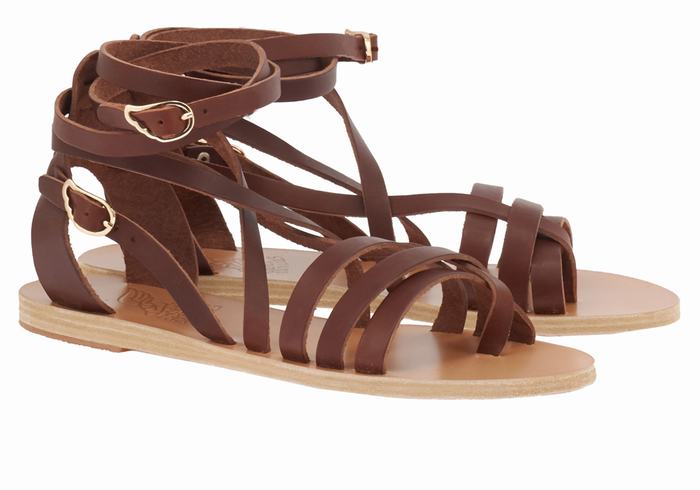 Women Ancient Greek Sandals Satira Leather Gladiator Sandals Coffee | ILB7697NX