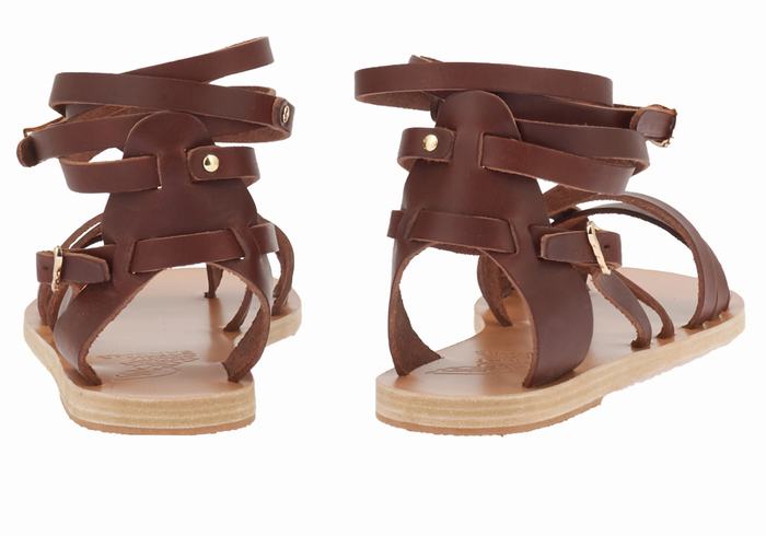 Women Ancient Greek Sandals Satira Leather Gladiator Sandals Coffee | ILB7697NX