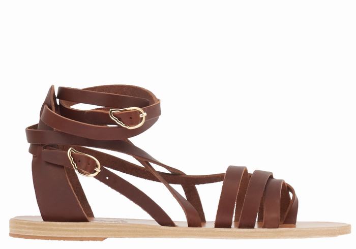 Women Ancient Greek Sandals Satira Leather Gladiator Sandals Coffee | ILB7697NX