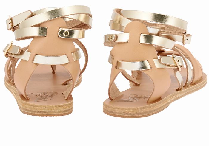 Women Ancient Greek Sandals Satira Leather Gladiator Sandals Beige Gold White | YBQ2466GH