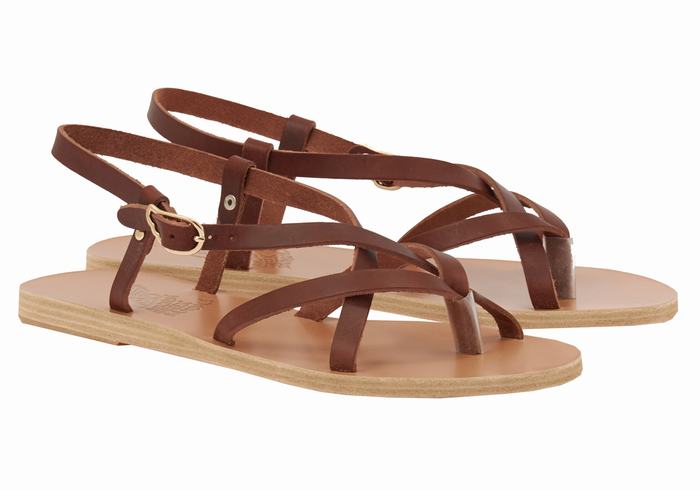 Women Ancient Greek Sandals Semele Leather Back-Strap Sandals Coffee | CCB6745OC