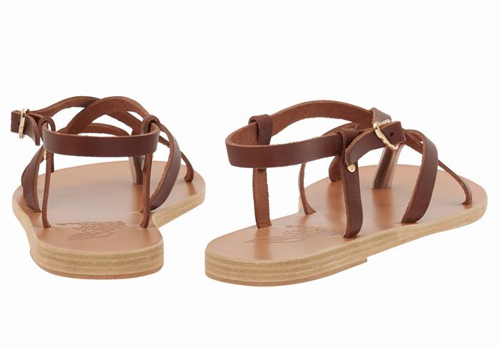 Women Ancient Greek Sandals Semele Leather Back-Strap Sandals Coffee | CCB6745OC