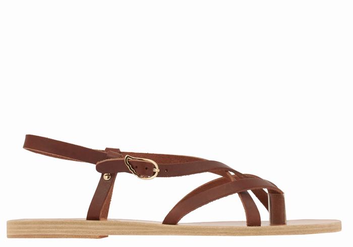 Women Ancient Greek Sandals Semele Leather Back-Strap Sandals Coffee | CCB6745OC