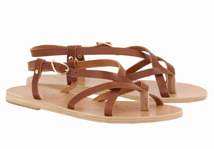 Women Ancient Greek Sandals Semele Leather Back-Strap Sandals Dark Brown | AHU854BW