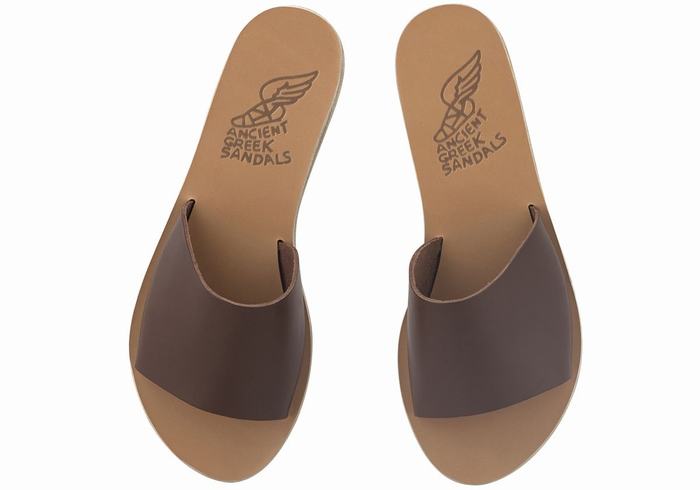 Women Ancient Greek Sandals Taygete Slide Sandals Coffee | RMD5524EF