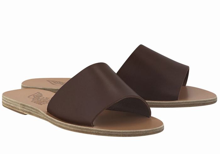 Women Ancient Greek Sandals Taygete Slide Sandals Coffee | RMD5524EF