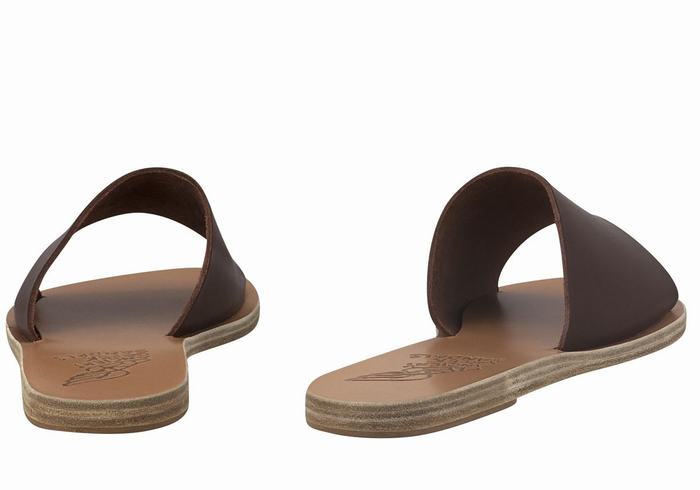 Women Ancient Greek Sandals Taygete Slide Sandals Coffee | RMD5524EF