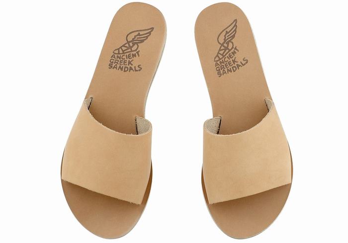 Women Ancient Greek Sandals Taygete Slide Sandals Beige | XND3762TL