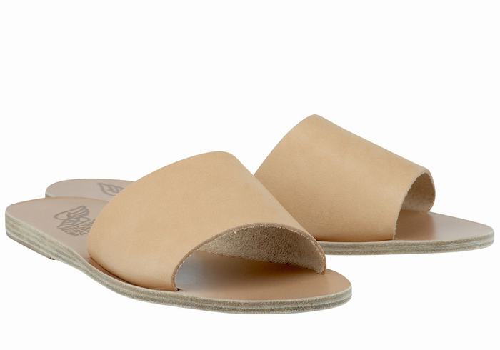 Women Ancient Greek Sandals Taygete Slide Sandals Beige | XND3762TL