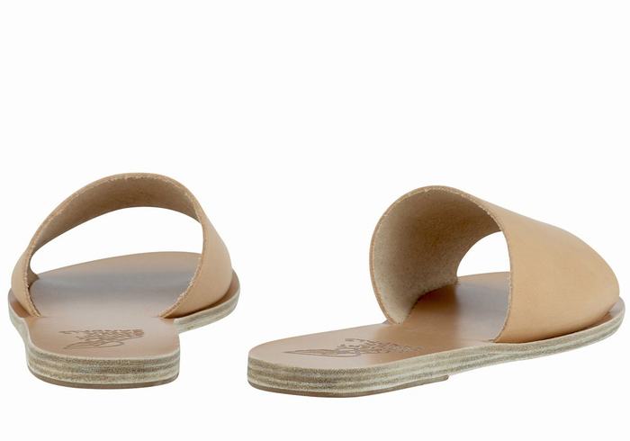 Women Ancient Greek Sandals Taygete Slide Sandals Beige | XND3762TL