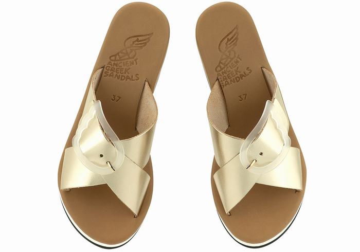 Women Ancient Greek Sandals Thais Rainbow Wedge Sandals Gold White | TYA145QU