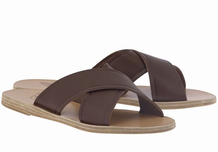 Women Ancient Greek Sandals Thais Slide Sandals Coffee | SDP10074XY