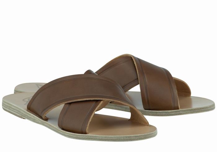 Women Ancient Greek Sandals Thais Slide Sandals Dark Brown | BWB5188XI