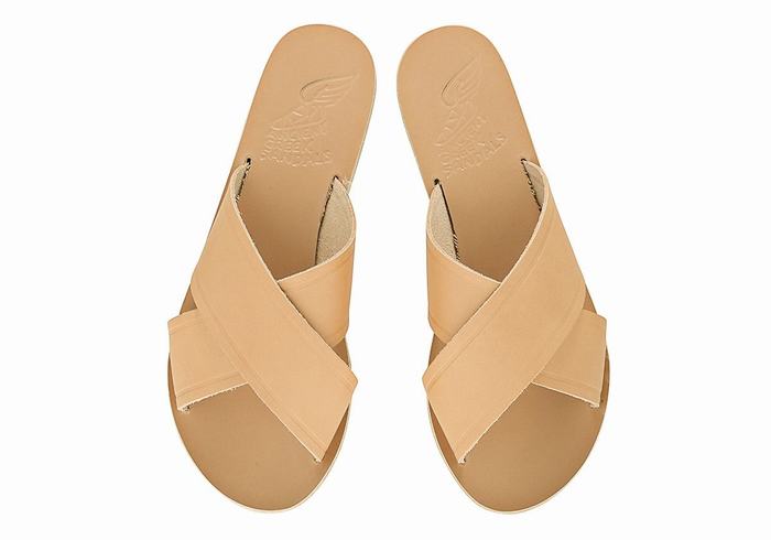 Women Ancient Greek Sandals Thais Slide Sandals Beige | FVX1389WE