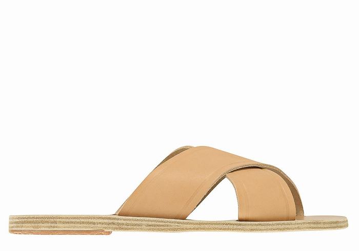 Women Ancient Greek Sandals Thais Slide Sandals Beige | FVX1389WE