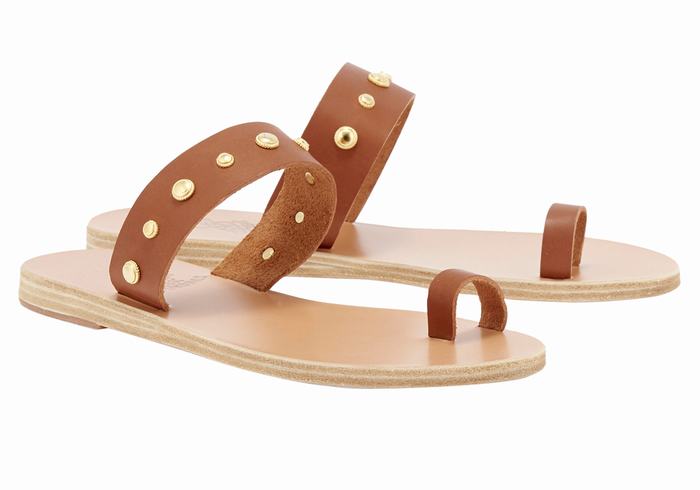 Women Ancient Greek Sandals Thalia Bee Toe-Post Sandals Dark Brown | HQS6383IS