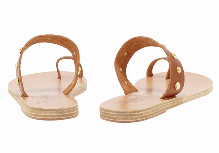 Women Ancient Greek Sandals Thalia Bee Toe-Post Sandals Dark Brown | HQS6383IS