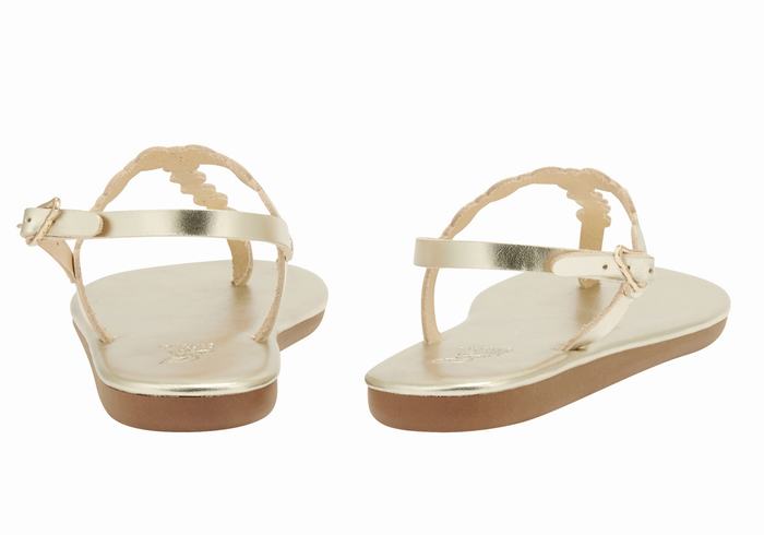 Women Ancient Greek Sandals Velos Flip Flop Back-Strap Sandals Gold White | FUX9889VZ