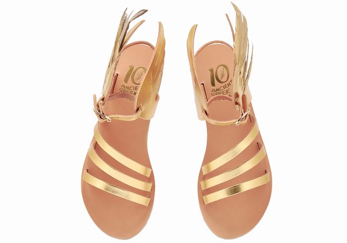 Women Ancient Greek Sandals Victory Of Samothrace Ankle Strap Sandals Gold | JUO273II