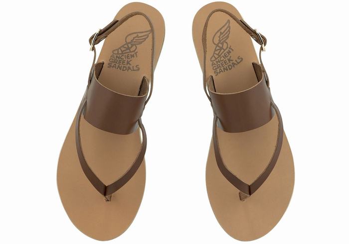 Women Ancient Greek Sandals Zoe Flip Flop Leather Back-Strap Sandals Dark Brown | JQK4389JW