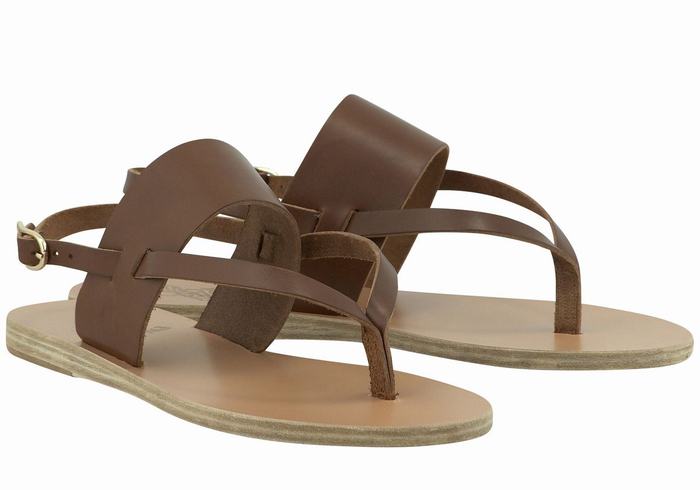 Women Ancient Greek Sandals Zoe Flip Flop Leather Back-Strap Sandals Dark Brown | JQK4389JW