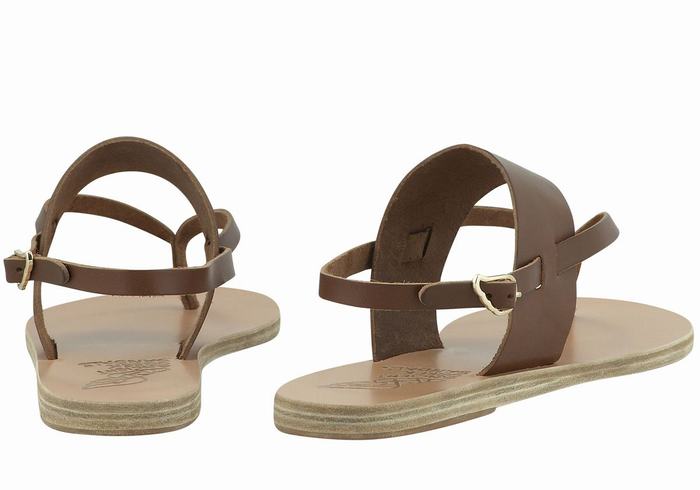 Women Ancient Greek Sandals Zoe Flip Flop Leather Back-Strap Sandals Dark Brown | JQK4389JW