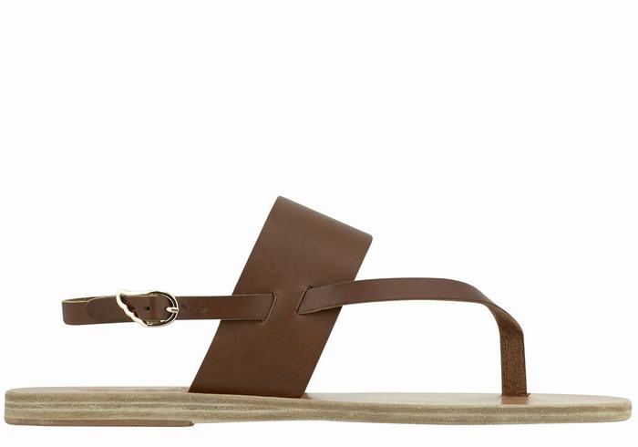 Women Ancient Greek Sandals Zoe Flip Flop Leather Back-Strap Sandals Dark Brown | JQK4389JW