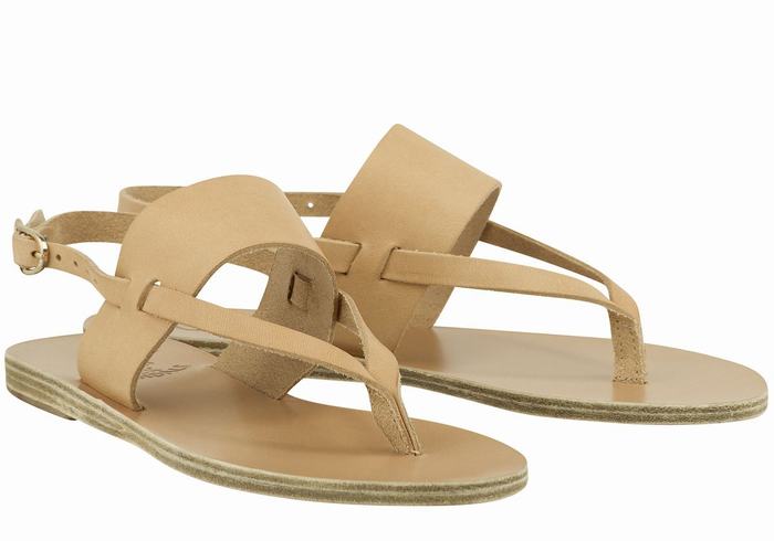 Women Ancient Greek Sandals Zoe Flip Flop Leather Back-Strap Sandals Beige | KIJ1914SU