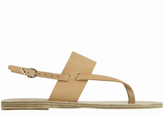 Women Ancient Greek Sandals Zoe Flip Flop Leather Back-Strap Sandals Beige | KIJ1914SU